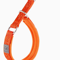 HKM-980243 Dog Collar P Chain Dog Walking Collar Collar Artifact