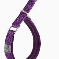 HKM-980243 Dog Collar P Chain Dog Walking Collar Collar Artifact