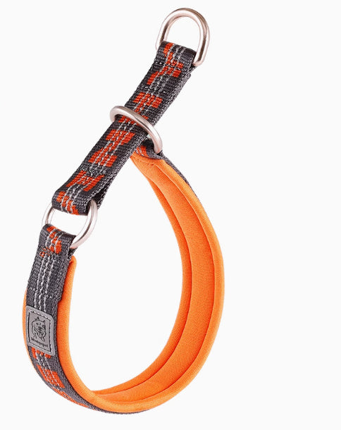 HKM-980243 Dog Collar P Chain Dog Walking Collar Collar Artifact