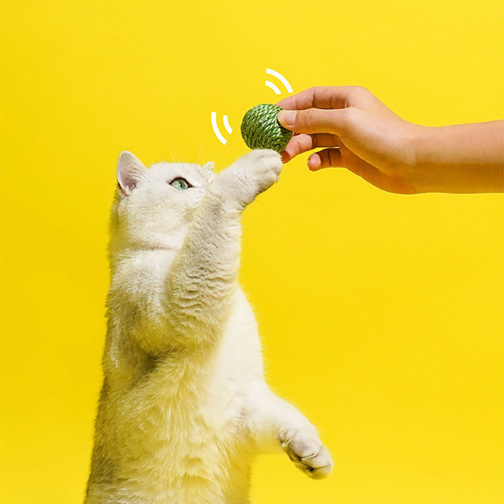HKM-981523 Interactive Cat Toy Balls with Sisal Rope, Rustling Sound, and Pea Pod Storage - 3-Pack Chew Balls for Indoor Kittens