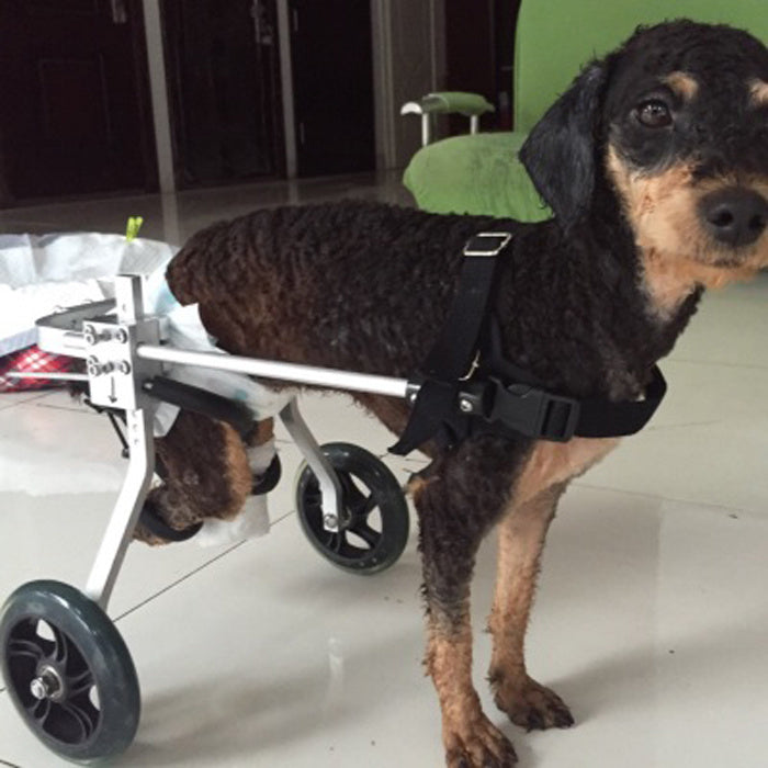 HKM-982675 Adjustable Dog Wheelchair for Mobility Support - Size Options XXS to S