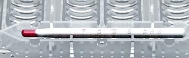HKM-984147 Gecko Egg Incubator Box for Snakes and Lizards, 12 Egg Capacity