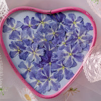 HKM-986067 Dried Flower Bookmark Accessories - Natural Cherry Blossom & Verbena Specimens for Crafting