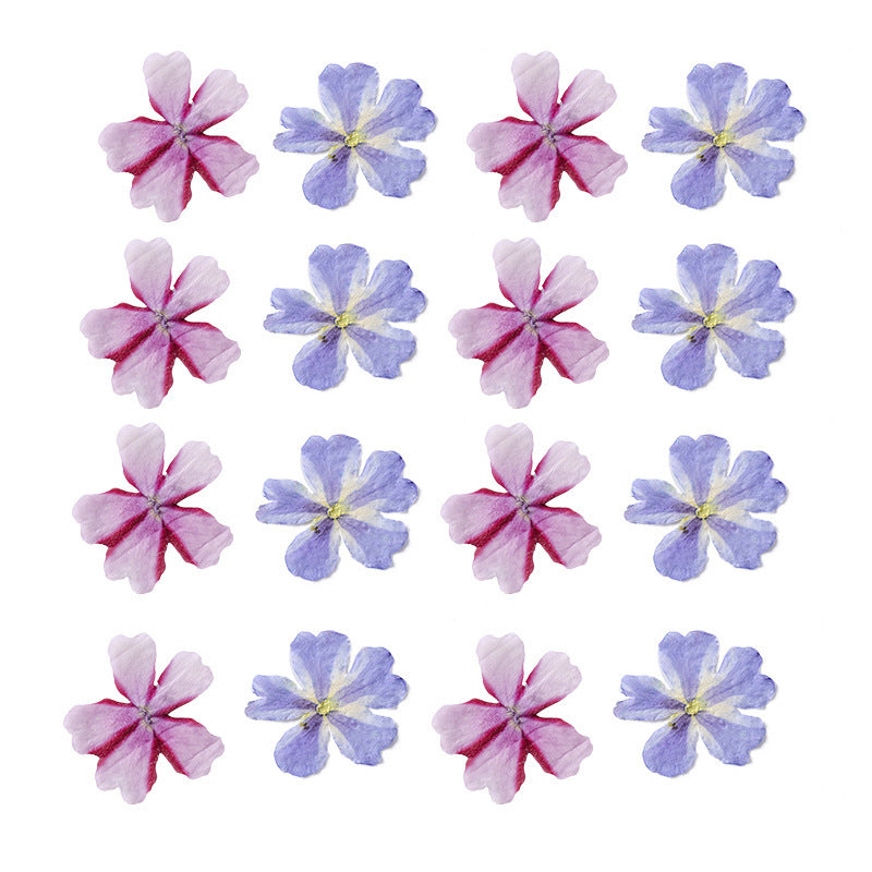 HKM-986067 Dried Flower Bookmark Accessories - Natural Cherry Blossom & Verbena Specimens for Crafting