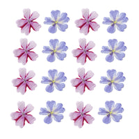 HKM-986067 Dried Flower Bookmark Accessories - Natural Cherry Blossom & Verbena Specimens for Crafting