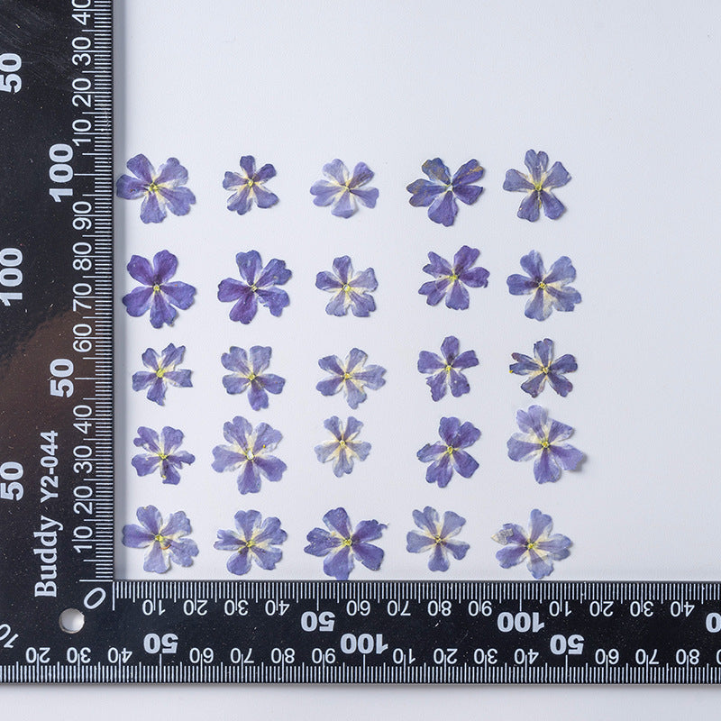 HKM-986067 Dried Flower Bookmark Accessories - Natural Cherry Blossom & Verbena Specimens for Crafting