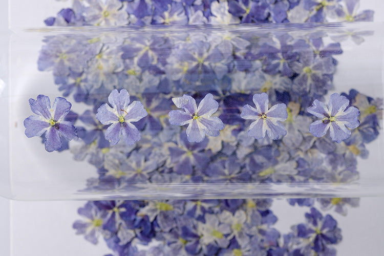 HKM-986067 Dried Flower Bookmark Accessories - Natural Cherry Blossom & Verbena Specimens for Crafting