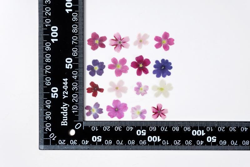 HKM-986067 Dried Flower Bookmark Accessories - Natural Cherry Blossom & Verbena Specimens for Crafting