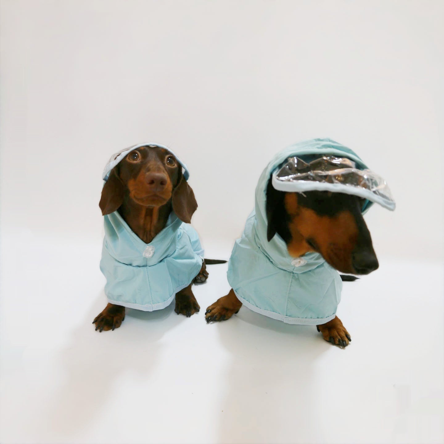 HKM-987091 Waterproof Hooded Rain Poncho for Dogs, Casual Pet Raincoat in Sky Blue, Multiple Sizes Available