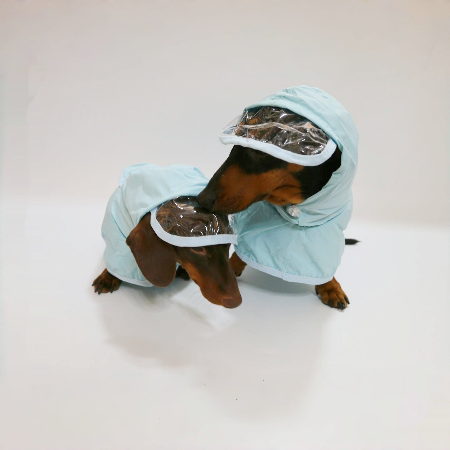 HKM-987091 Waterproof Hooded Rain Poncho for Dogs, Casual Pet Raincoat in Sky Blue, Multiple Sizes Available