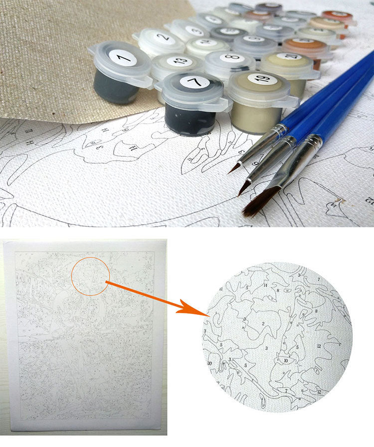 HKM-987219 DIY White Flower Painting - Canvas Painting By Numbers Kit, Unframed, 40x50 cm, Includes Paints and Brushes