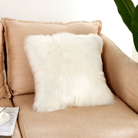 HKM-987667 Simple Modern 40x40cm Black Plush Pillowcase in Soft Chemical Fiber