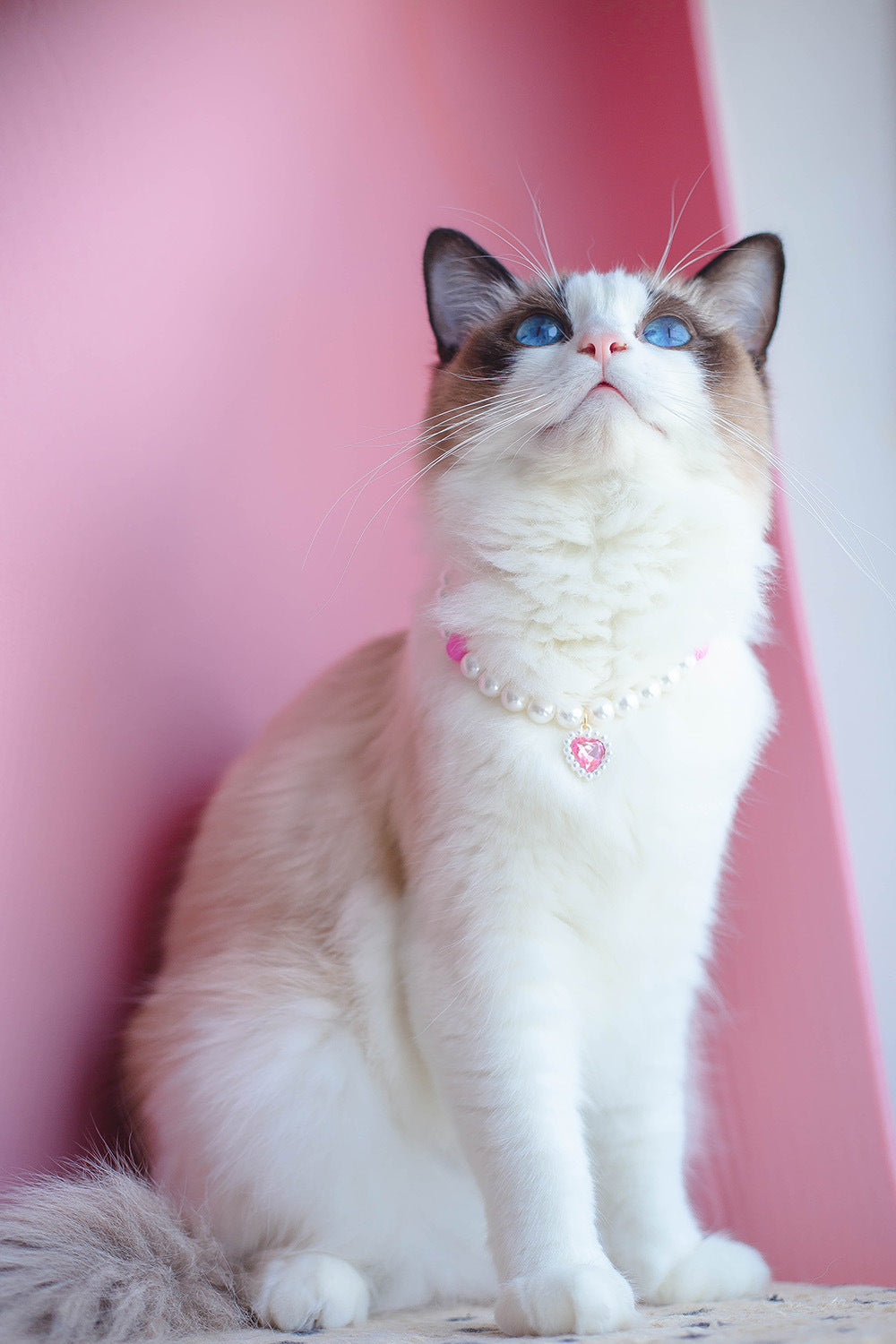 HKM-988115 Pet Love Necklace for Cats - Red, Pink, or Black Bead Style, Custom Fit for Small to Large Cats