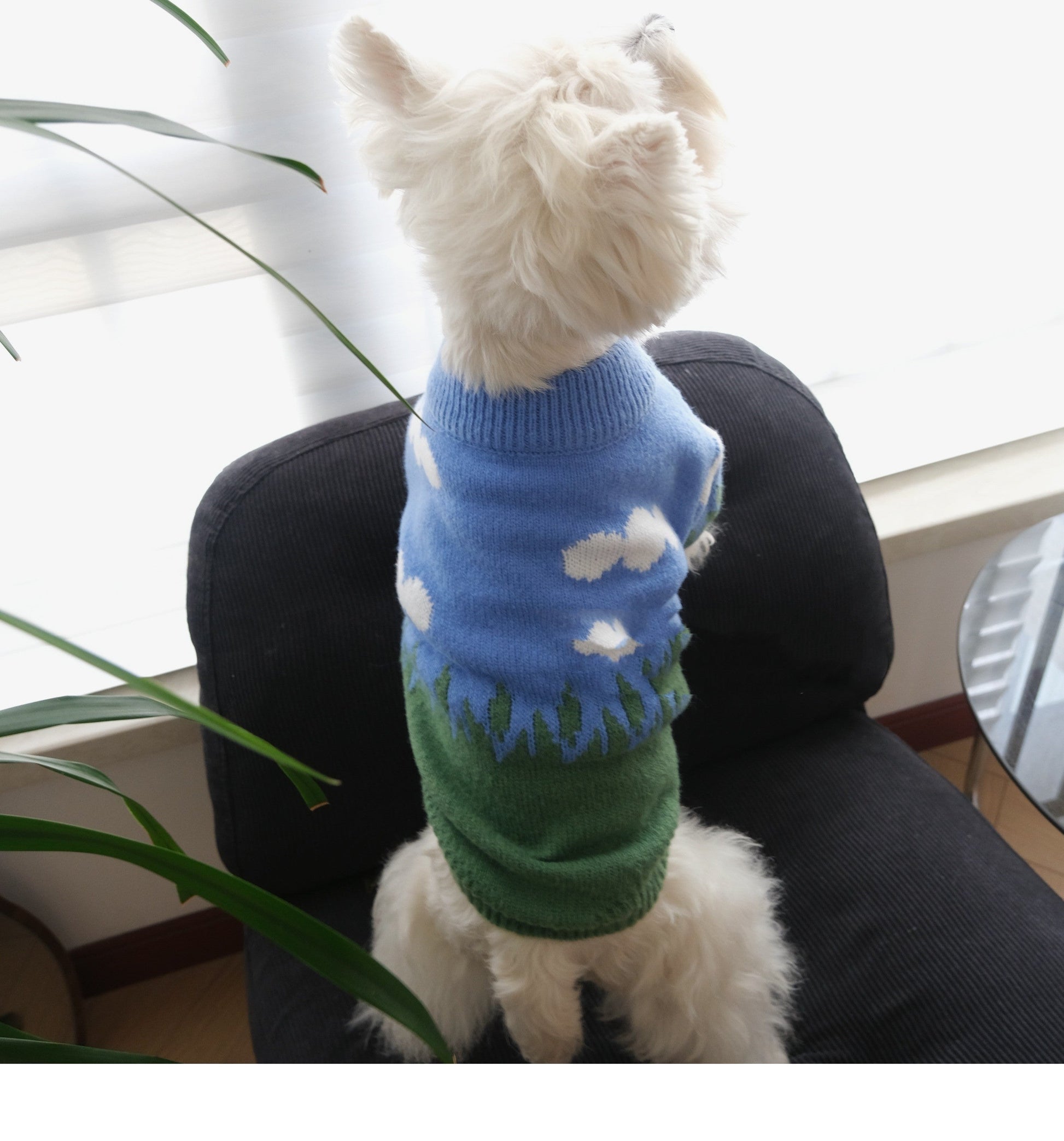 HKM-988179 Cozy Cloud Pattern Crew Neck Pullover Sweater for Pets