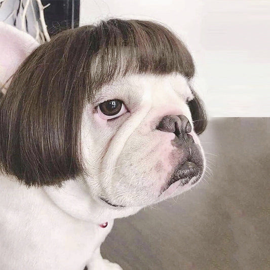 HKM-988307 Cosplay Tool Wig - Polyester Wig for All Dog Breeds, Free Size, 45g Weight, 15x25cm Packaging