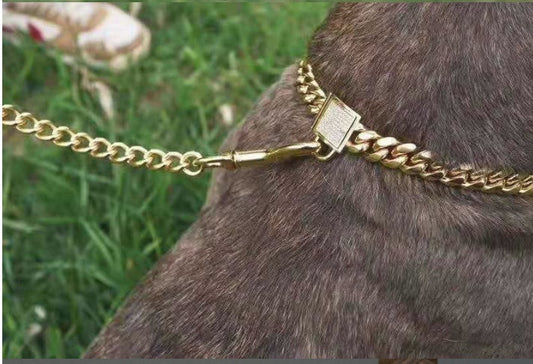 HKM-988435 Titanium Steel Gold Dog Collar with Encryption Chain Buckle – Multiple Sizes Available