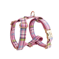 HKM-990099 Pet Collar and Leash Set with Bow and Vest – Four-Piece Collection for Dogs