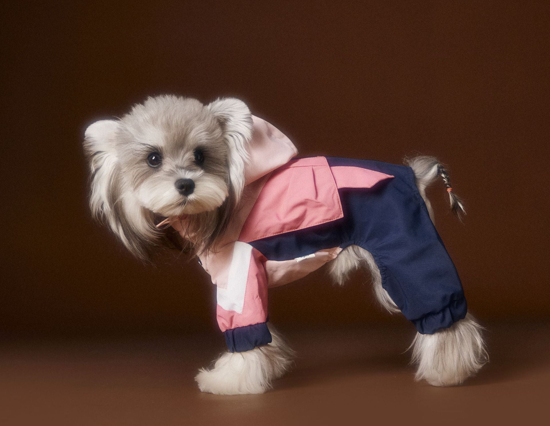 HKM-990227 Casual Four-Legged Sportswear with Traction Rope Buckle for Pets