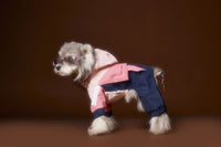 HKM-990227 Casual Four-Legged Sportswear with Traction Rope Buckle for Pets