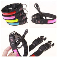 HKM-990611 Rechargeable Luminous Dog Collar for Golden Retrievers and Teddy Breeds - Reflective and Anti-Lost Design