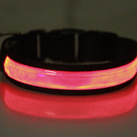HKM-990611 Rechargeable Luminous Dog Collar for Golden Retrievers and Teddy Breeds - Reflective and Anti-Lost Design