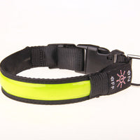 HKM-990611 Rechargeable Luminous Dog Collar for Golden Retrievers and Teddy Breeds - Reflective and Anti-Lost Design