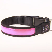 HKM-990611 Rechargeable Luminous Dog Collar for Golden Retrievers and Teddy Breeds - Reflective and Anti-Lost Design