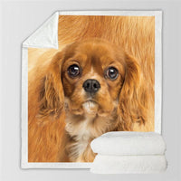 HKM-991315 Double-Sided Flannel Blanket for Air Conditioning - Soft Polyester Fiber, Ins Style, Multiple Fabric Weights