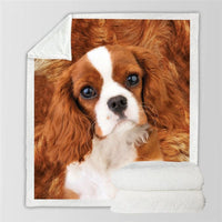 HKM-991315 Double-Sided Flannel Blanket for Air Conditioning - Soft Polyester Fiber, Ins Style, Multiple Fabric Weights