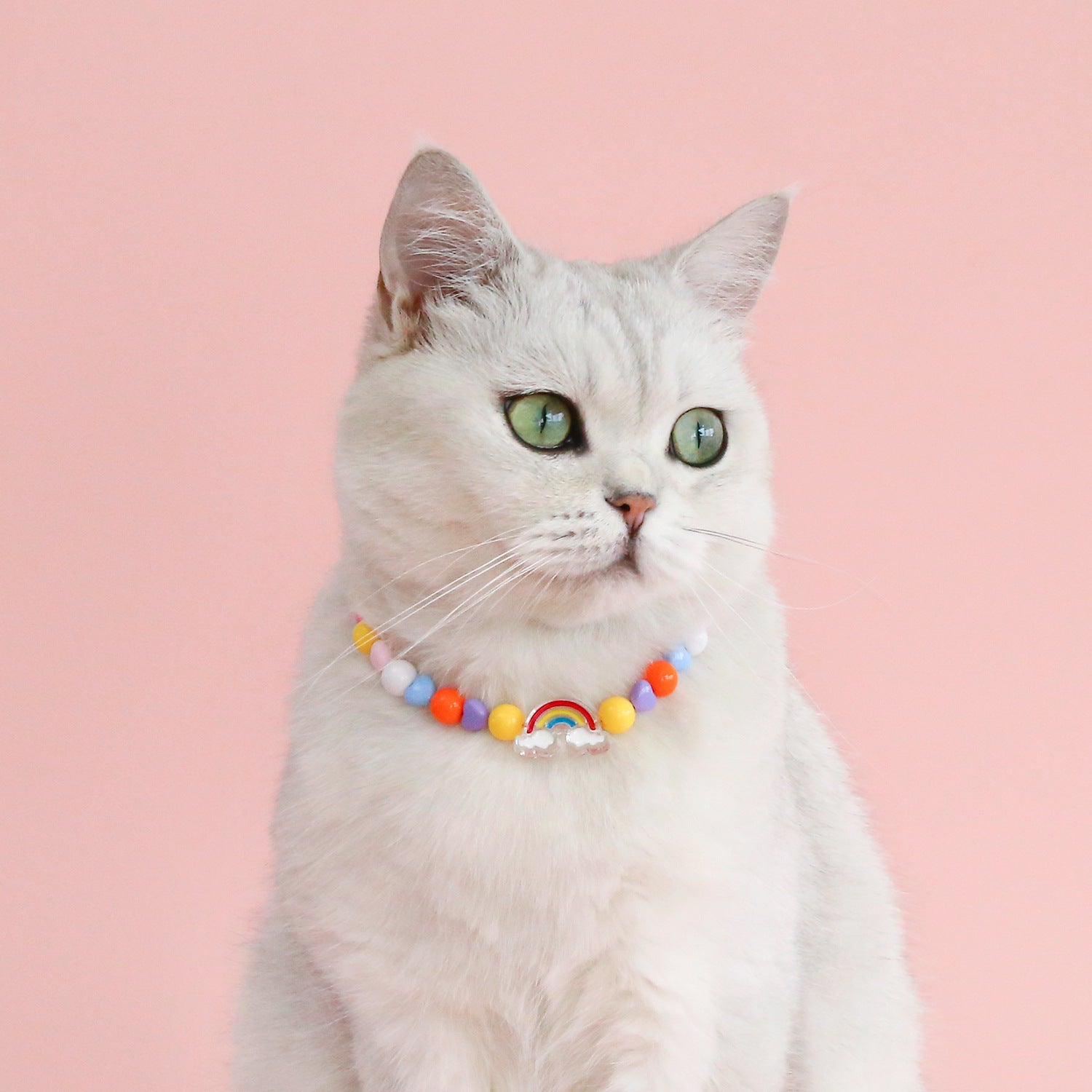 HKM-991763 Colorful Bead Pearl Pet Necklace with Small Flower Design for Cats and Small Dogs