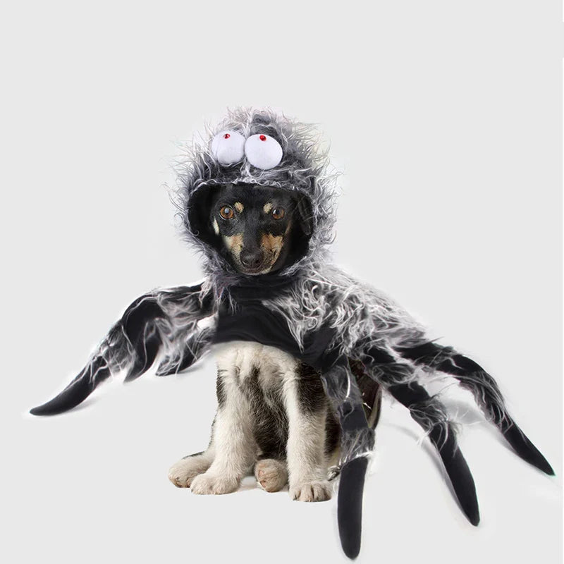 HKM-993619 Cosplay Spider Costume for Dogs and Cats - Eco-Friendly Pet Clothing for Halloween Parties