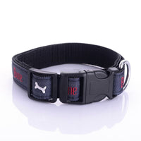 HKM-994067 Embroidered Leather Dog Collar with Bone Design and Matching Leash, Available in Multiple Sizes