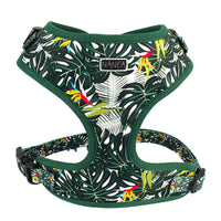 HKM-994387 Adjustable Pet Harness Set with Leash, Collar, Waste Bag, Bow Tie, and Triangle Scarf