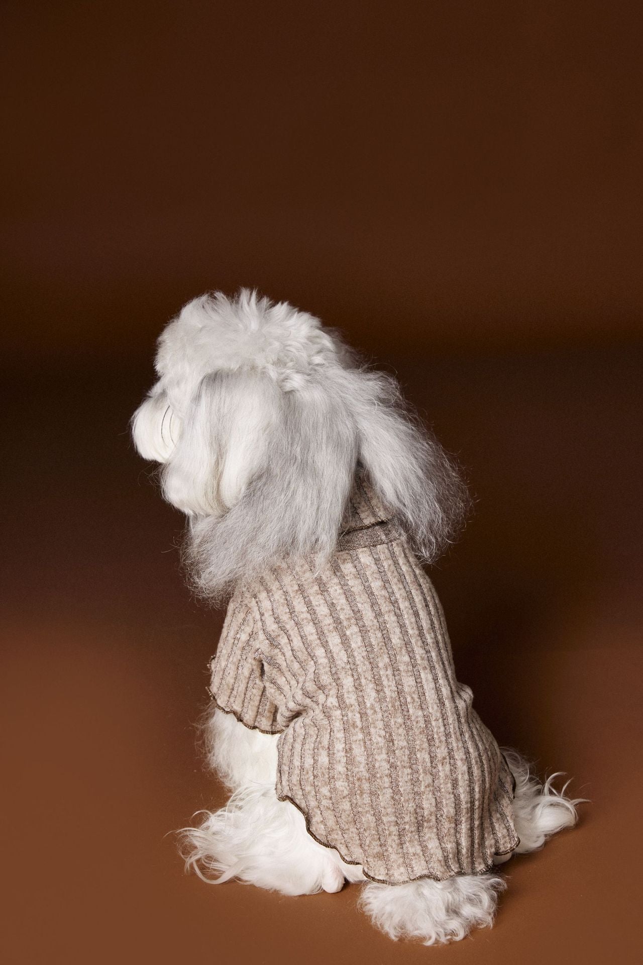 HKM-995987 Casual Lace Bow Bottoming Shirt for Dogs in Coffee and Beige, Various Sizes Available