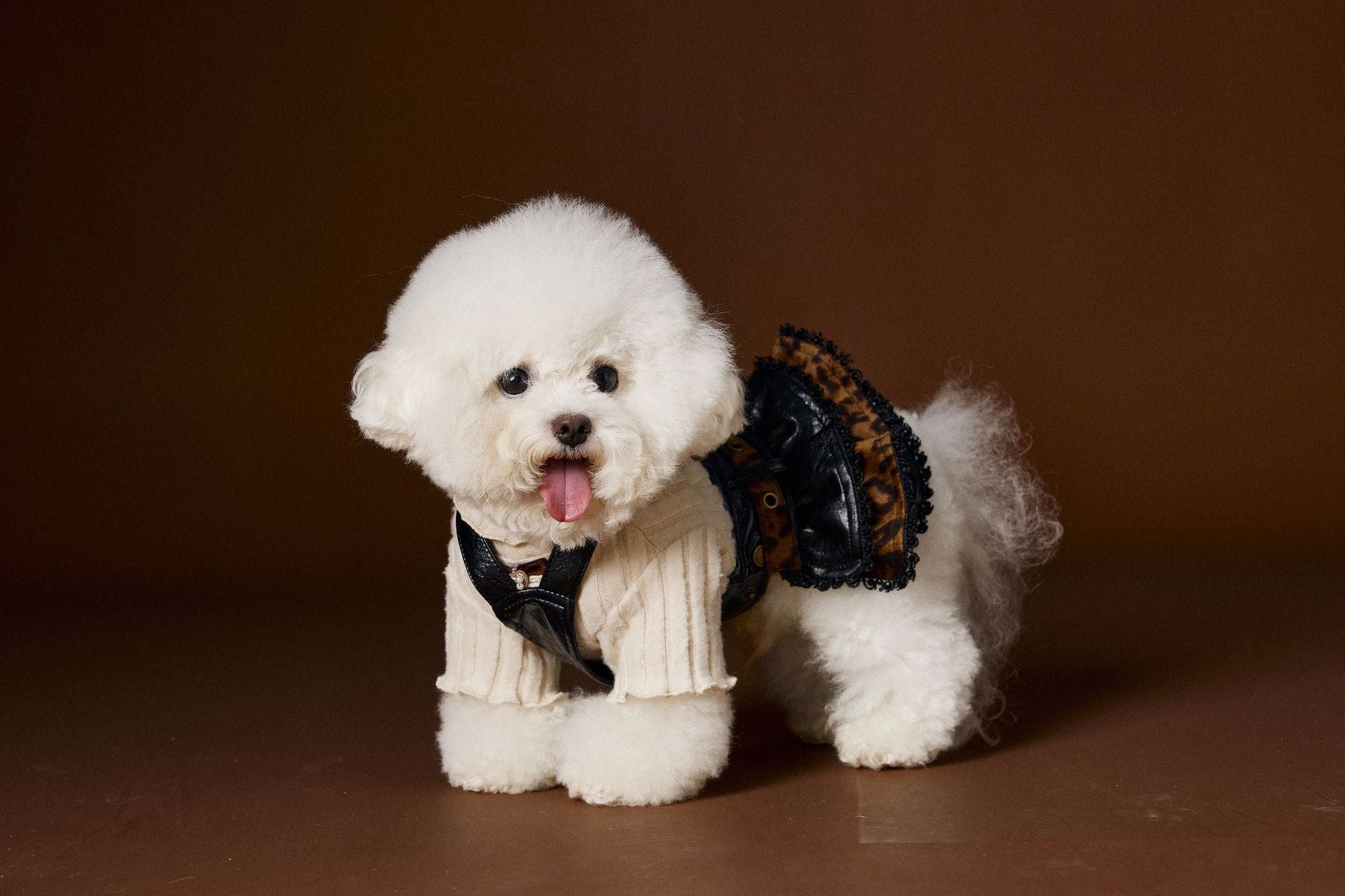 HKM-995987 Casual Lace Bow Bottoming Shirt for Dogs in Coffee and Beige, Various Sizes Available
