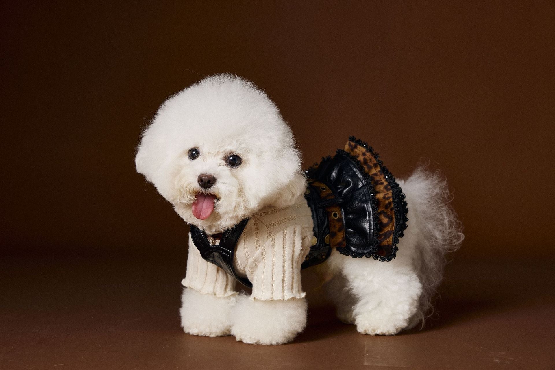 HKM-995987 Casual Lace Bow Bottoming Shirt for Dogs in Coffee and Beige, Various Sizes Available