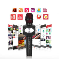 HKM-997203 Capacitive Mobile Microphone with Echo Sound Effect and 5W Speaker Output