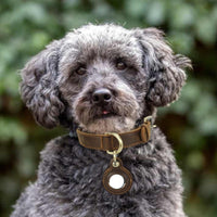 HKM-997843 Retro Double-Sided Cowhide Dog Collar - Handmade, Anti-Lost Tracking with Lanyard