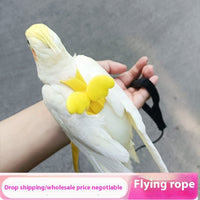HKM-998483 Pet Safe Ultra-Light Anti-Lost Hand Holding Rope with Wings - 2M Long in Various Colors