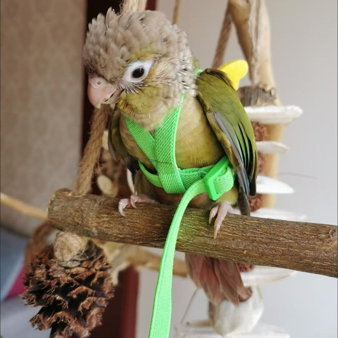 HKM-998483 Pet Safe Ultra-Light Anti-Lost Hand Holding Rope with Wings - 2M Long in Various Colors