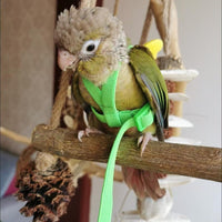 HKM-998483 Pet Safe Ultra-Light Anti-Lost Hand Holding Rope with Wings - 2M Long in Various Colors