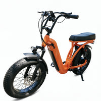 48V15Ah Electric Fat Tire Mountain Bike 20*4 Inch 7 Speed High Carbon Steel Frame Brake Adult Integrated Lithium Brushless Motor