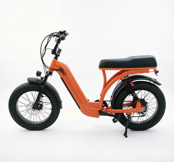 48V15Ah Electric Fat Tire Mountain Bike 20*4 Inch 7 Speed High Carbon Steel Frame Brake Adult Integrated Lithium Brushless Motor