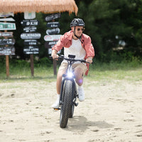 HKM-7516883 Step-Through Fat Tire Electric Bike, 250W Motor with 750W Peak, 48V 15Ah Battery, 26 x 4 in Tires, 7 Speed