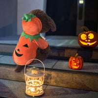 Dog Hoodie Cute Funny Halloween Style Pumpkin Cosplay Costume Warm Puppy Fleece Clothes