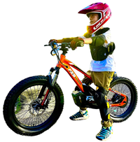 HKM-2794707 electric balance bike