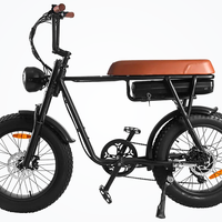 HKM-9752787 48V 750W Fat Tire Mountain Bike, 19 mph Top Speed, 20 x 4.0 in Tires, Mechanical Disc Brakes, 330 lb Load