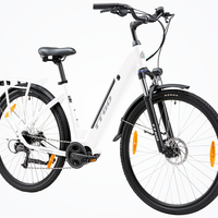 HKM-2570835 36 V 20 Ah City Electric Bike, 250 W Motor, 20 mph Top Speed, 7-Speed Shimano Drivetrain, Hydraulic Disc Brakes