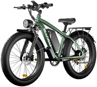 HKM-15827 Adult: 750W Motor, 20 MPH Top Speed, 48V System and 48V 25.0Ah Battery Electric Bicycle for Daily Commuting