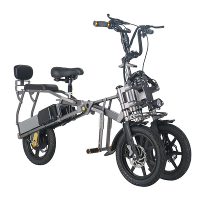 Electric Bicycles